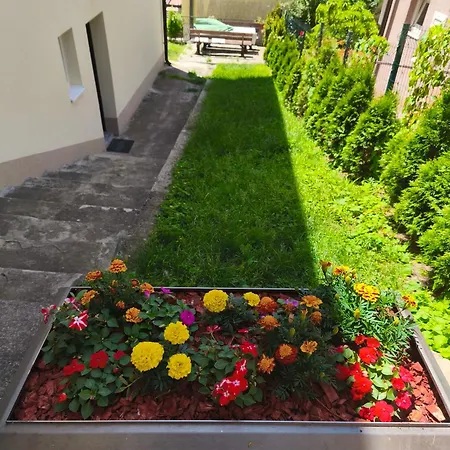 Sunshine Near The Zoo, Free Parking *